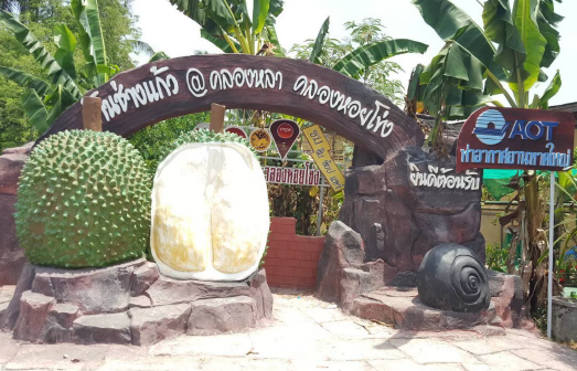 08 ทหญ 08 ทหญ