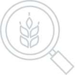 icon-สินค้าการเกษตร