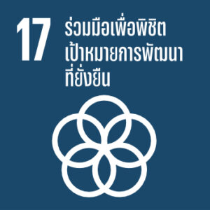 SDG-17 th