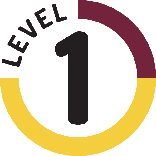Level-1