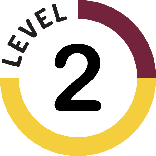 Level 2