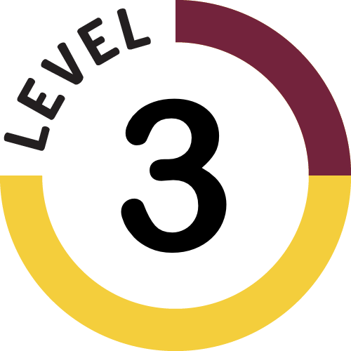Level 3